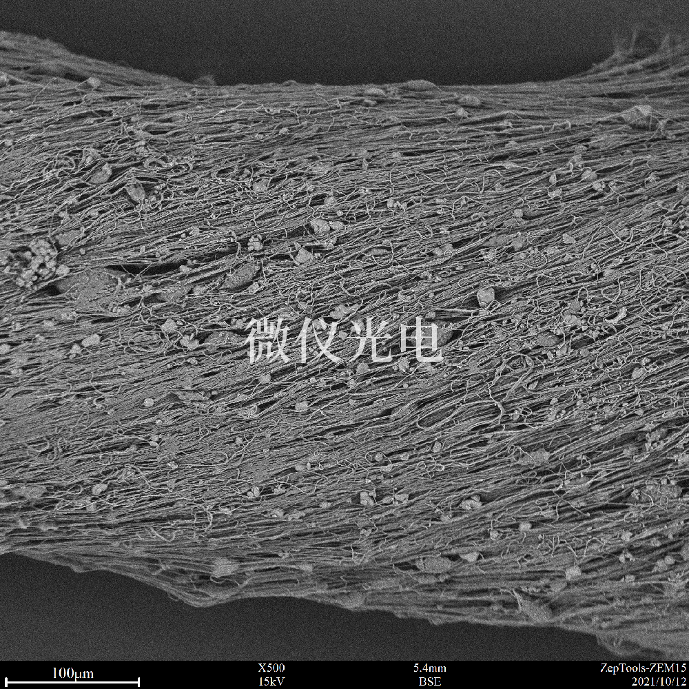 掃描電鏡應(yīng)用領(lǐng)域介紹和使用掃描電鏡時(shí)圖像質(zhì)量差改善的方法有哪些？