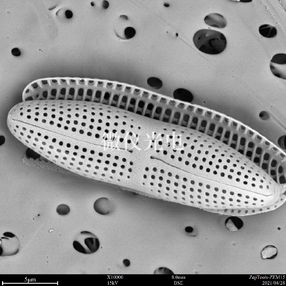 sem臺(tái)式掃描電鏡在司法鑒定行業(yè)的應(yīng)用是這樣的，你之前了解嗎？