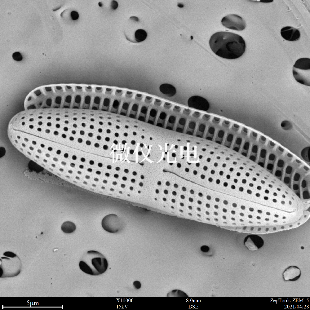 掃描電子顯微鏡的類型有這些你之前了解過(guò)嗎？
